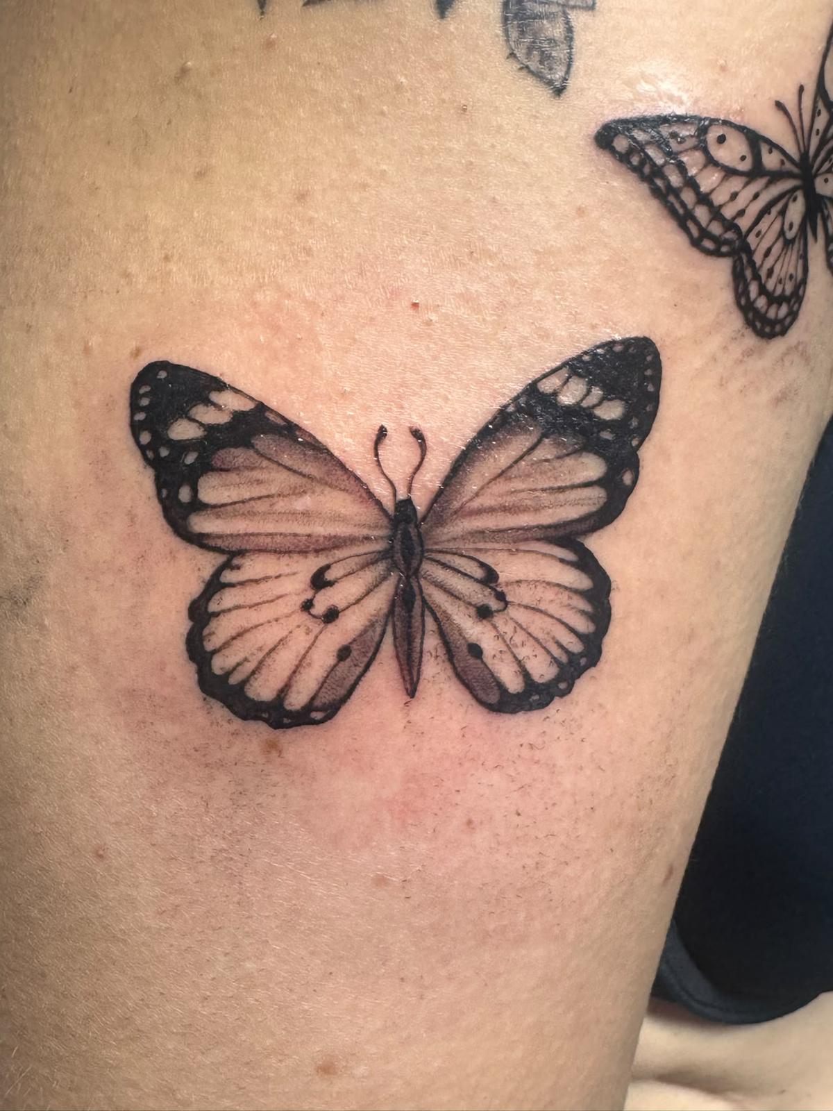 Schmetterling – Tattoo von Charis